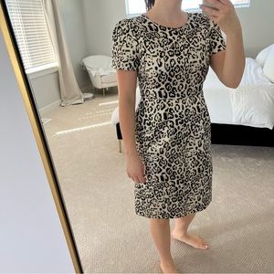 Rachel parcell leopard print dress